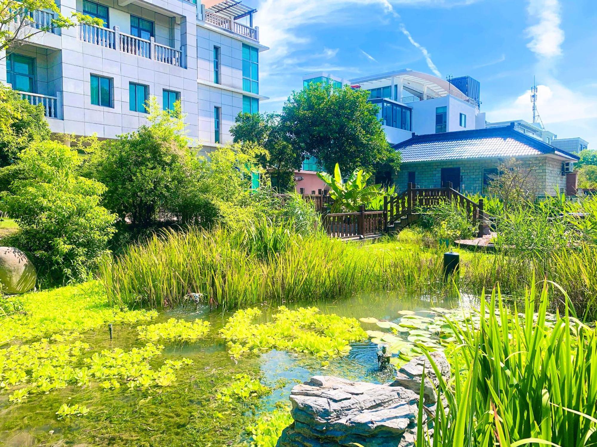 Shushe 3* Shanghai