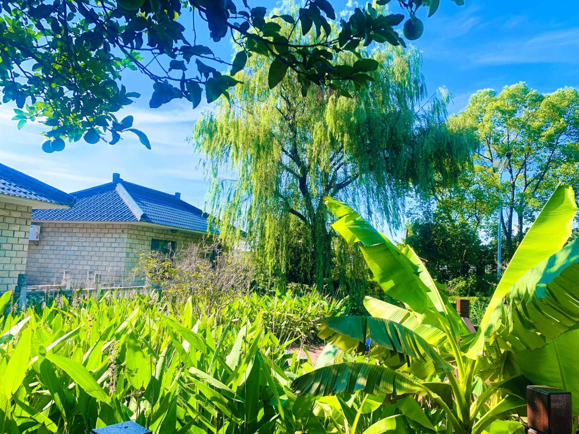 Shushe Hotel